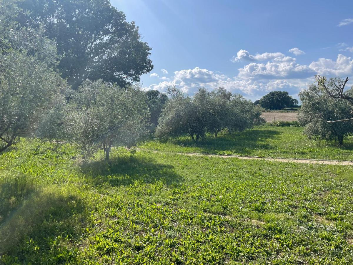 Sous Les Etoiles En Provence, Gite Les Grands Chenes Lurs Bagian luar foto