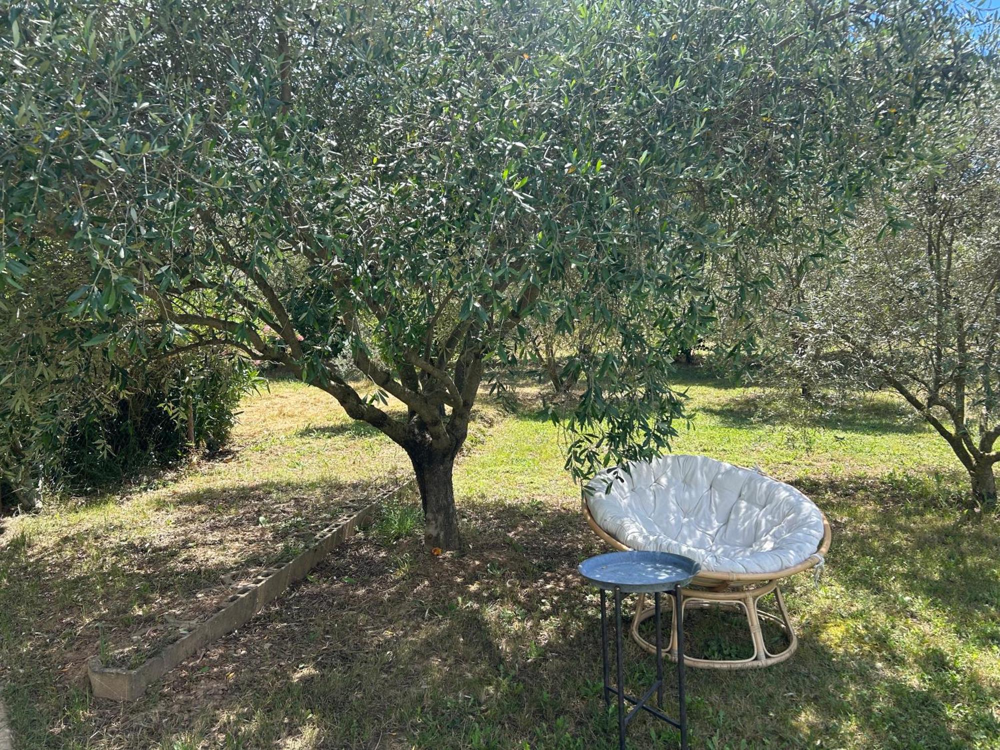 Sous Les Etoiles En Provence, Gite Les Grands Chenes Lurs Bagian luar foto